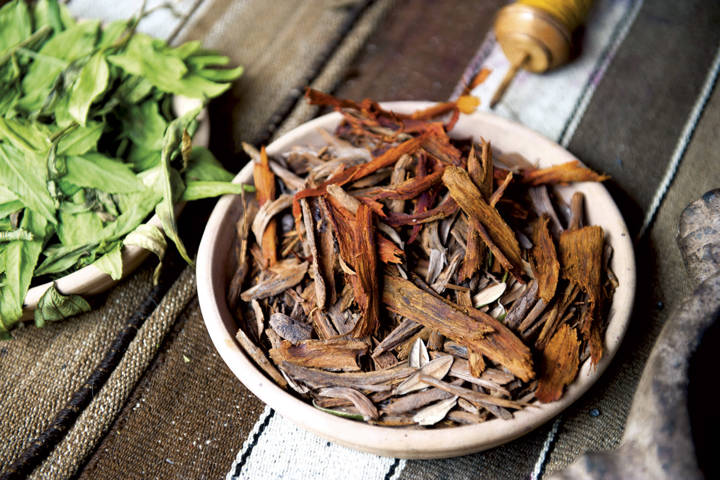 4 plantas medicinales para frenar la caída del cabello