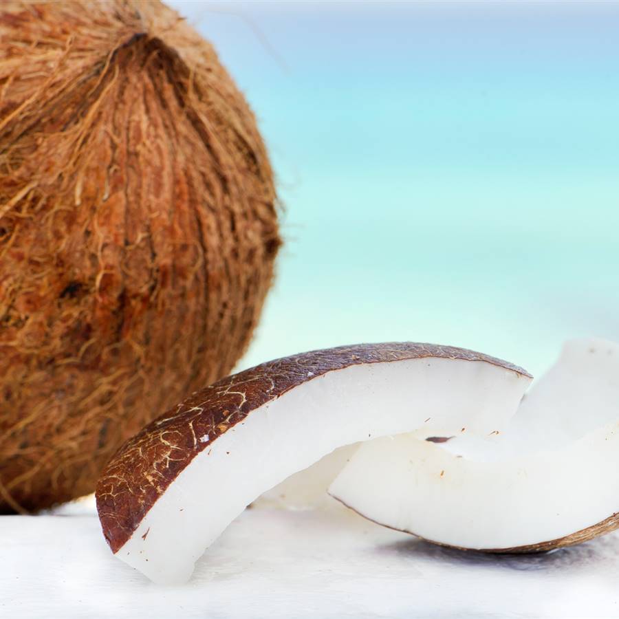 8 productos del coco que tienes que conocer