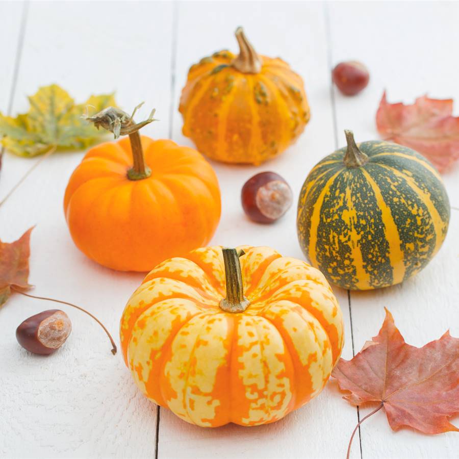 Calendario temporada frutas verduras octubre
