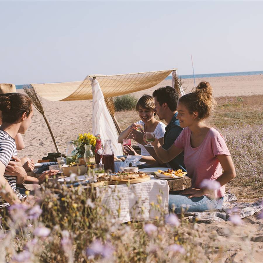 11 ideas para organizar un picnic vegano