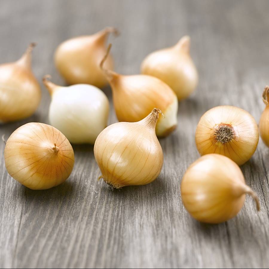 7 tipos de cebolla: descubre sus características y cómo prepararlas