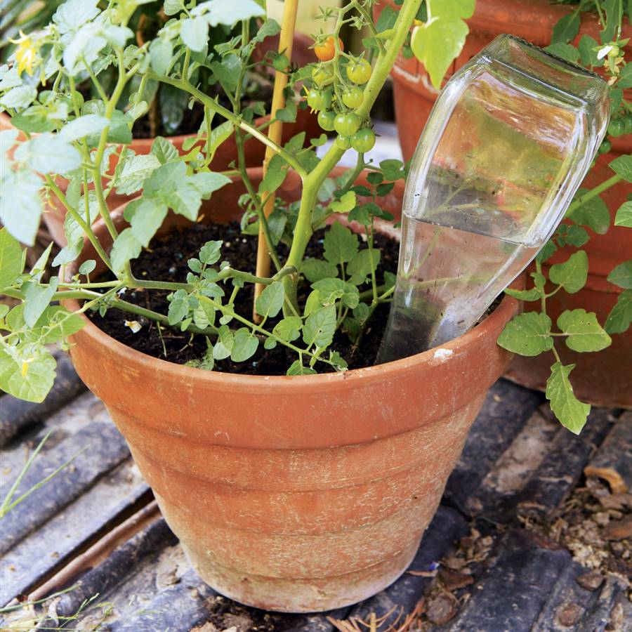 Cómo regar las plantas en vacaciones (y ahorrar agua en verano con el riego)