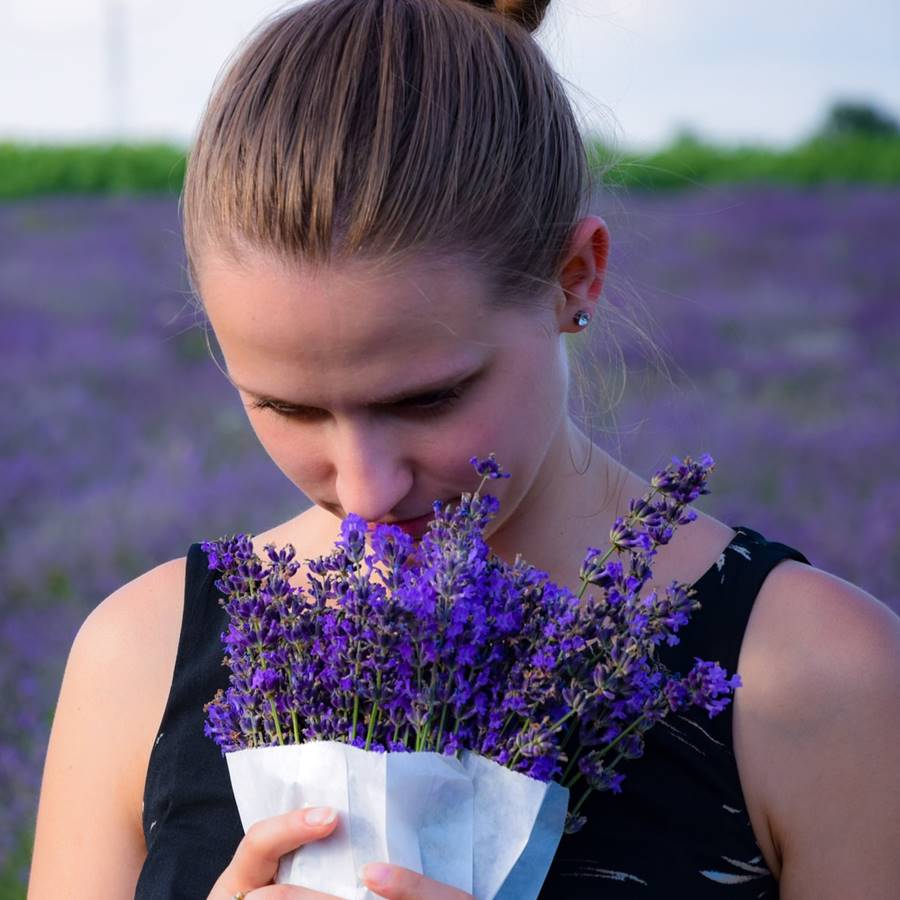 Olor: cómo funciona el olfato,por qué perdemos el olfato y cómo recuperarlo