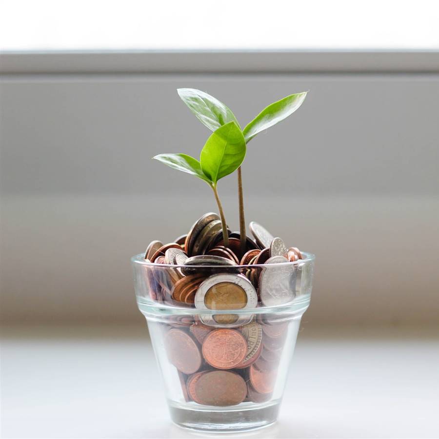 10 consejos para ser más sostenible y ahorrar dinero