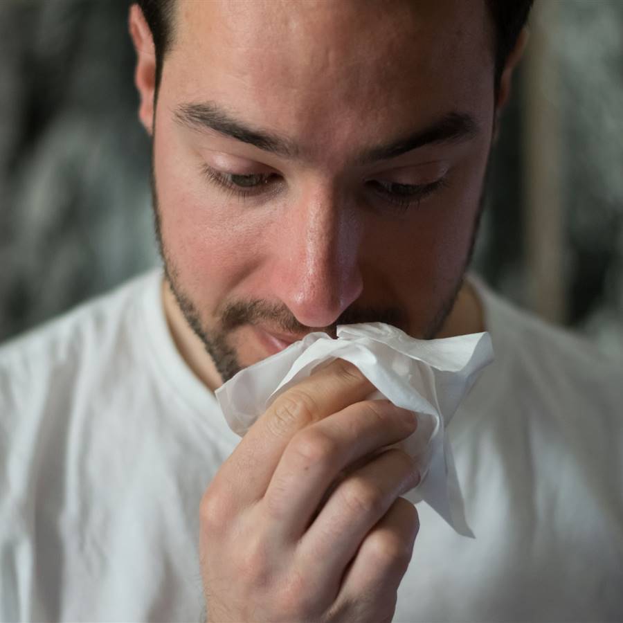 Quercetina contra la alergia