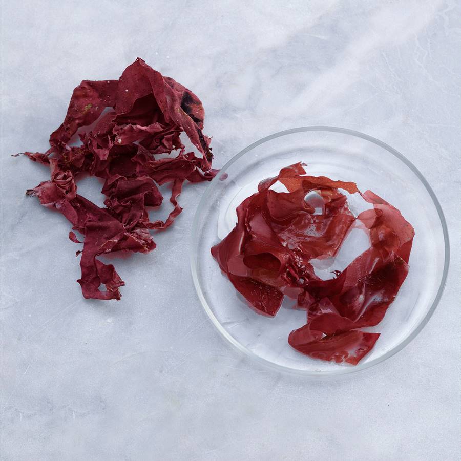 Lithothamnium calcareum o alga roja, una fuente de calcio natural