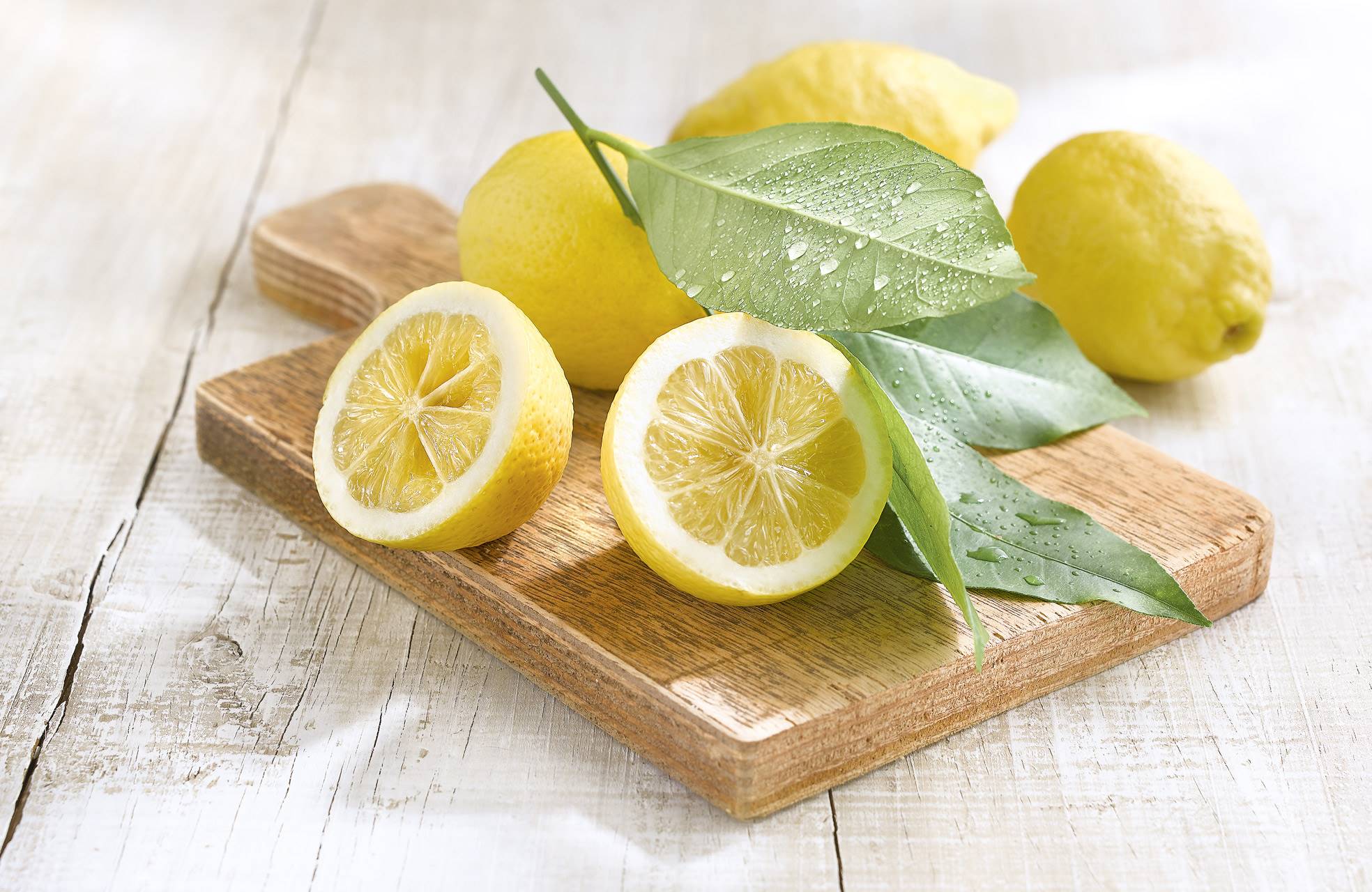 calendario frutas verduras abril limón