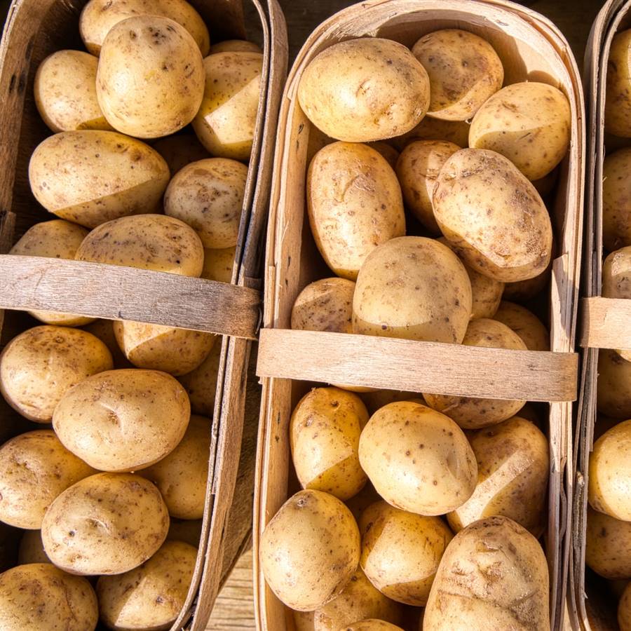 cestas de patatas