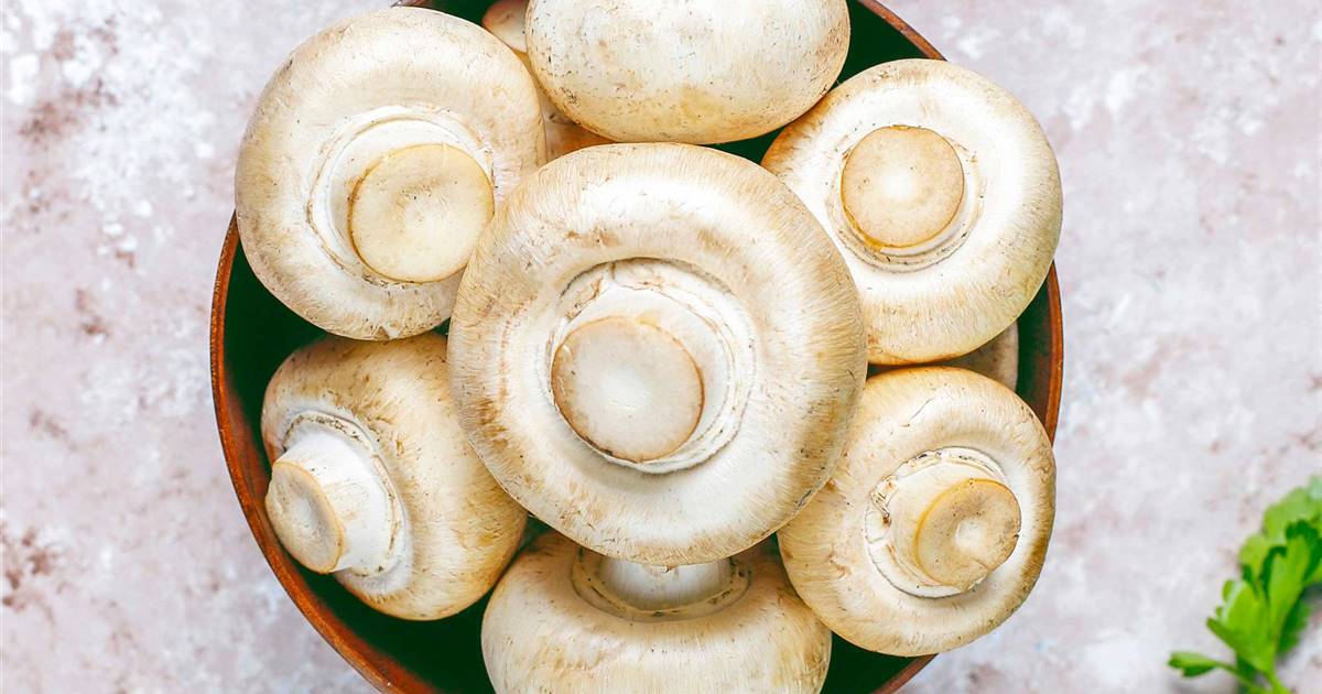 Champiñón: todas las propiedades y beneficios para la salud