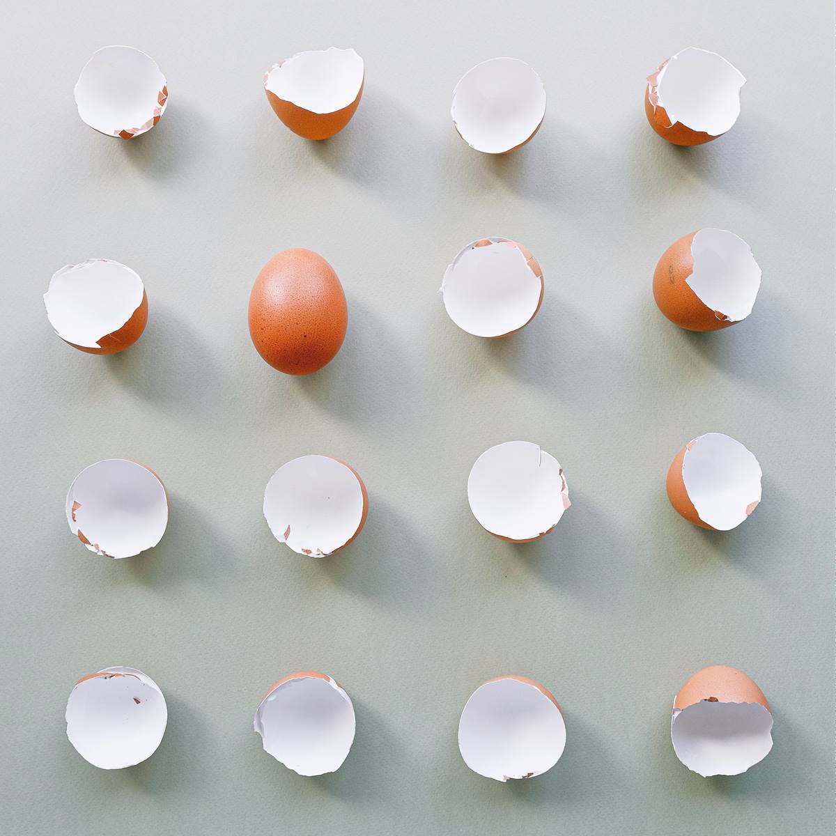Cáscaras de huevo y un huevo entero