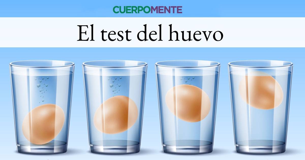 Cómo saber si un huevo está malo los mejores trucos