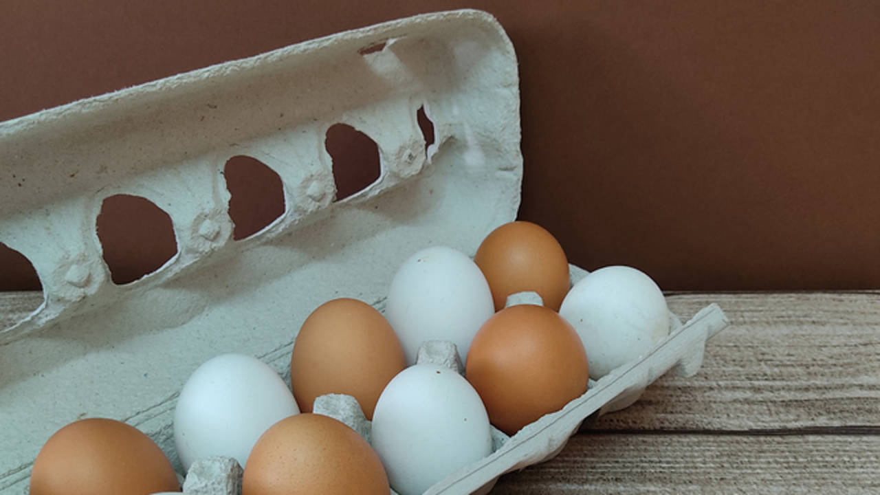 Huevos en huevera de cartón