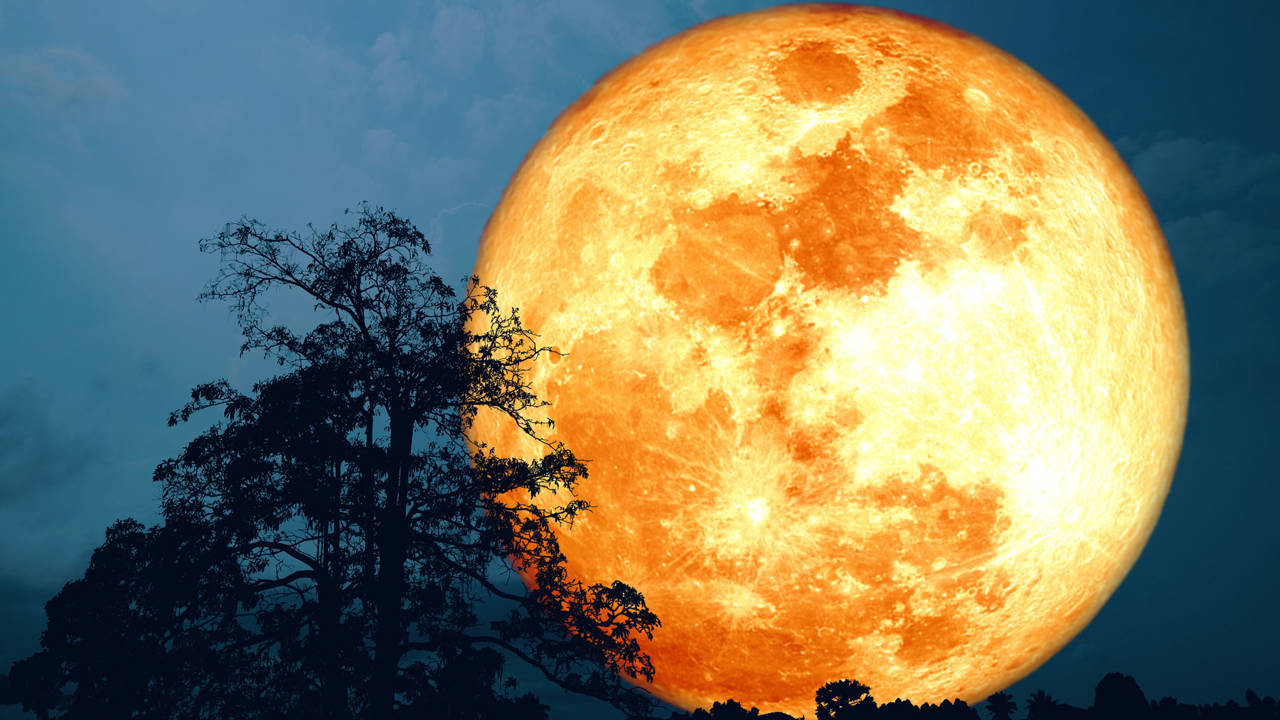 Luna llena de ciervo: superluna julio 2023