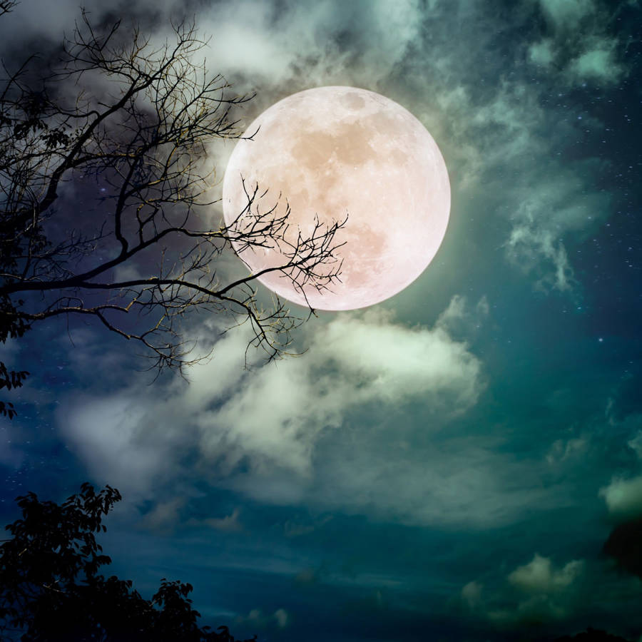 Luna llena de diciembre 2023: la Luna fría llega con Júpiter brillando alto en el cielo