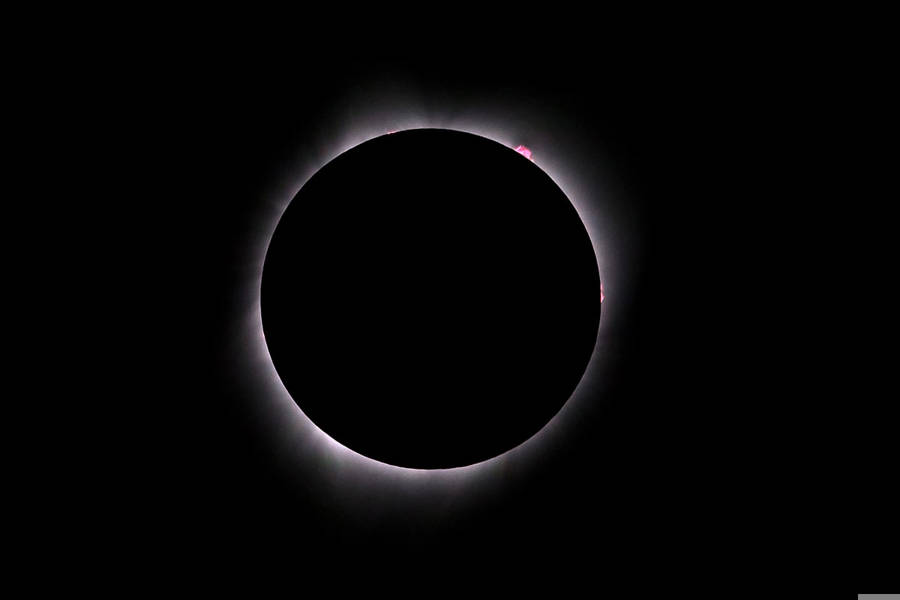 Eclipse solar total: prominencias solares