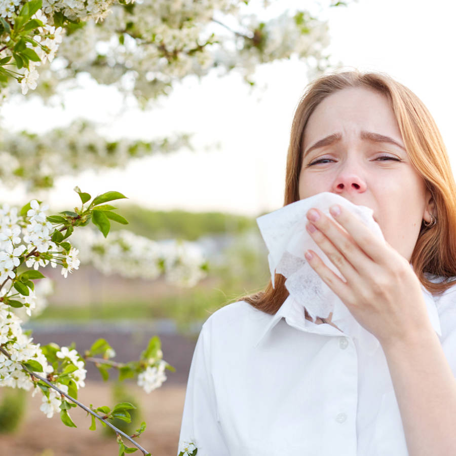 Dieta para la alergia primaveral: cómo realizarla para reduir los síntomas de alergia al polen