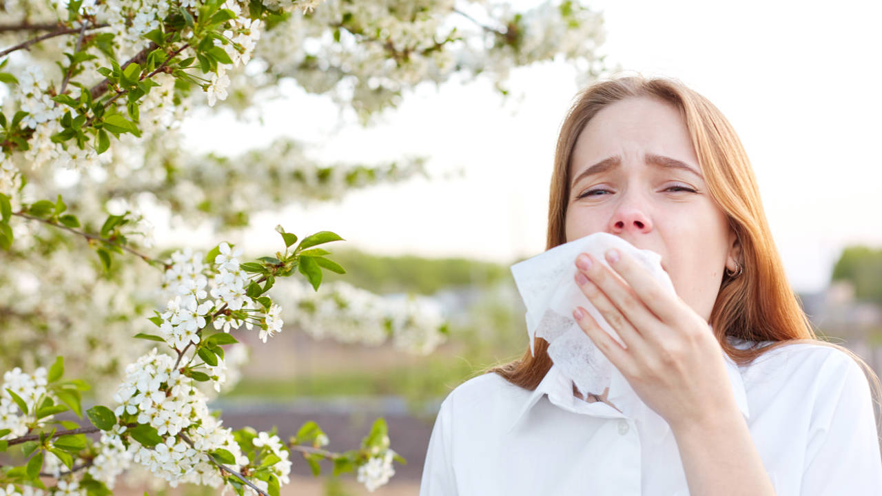 Dieta para la alergia primaveral: cómo realizarla para reduir los síntomas de alergia al polen