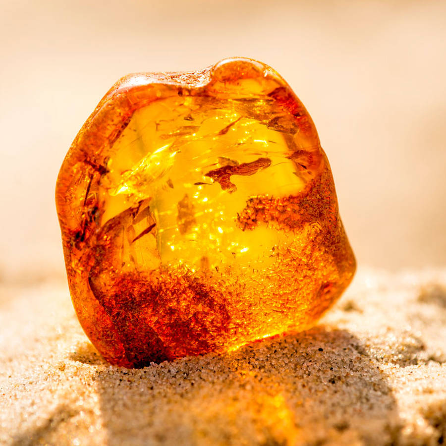 Piedra ámbar: una resina preciosa que te conecta con la tierra
