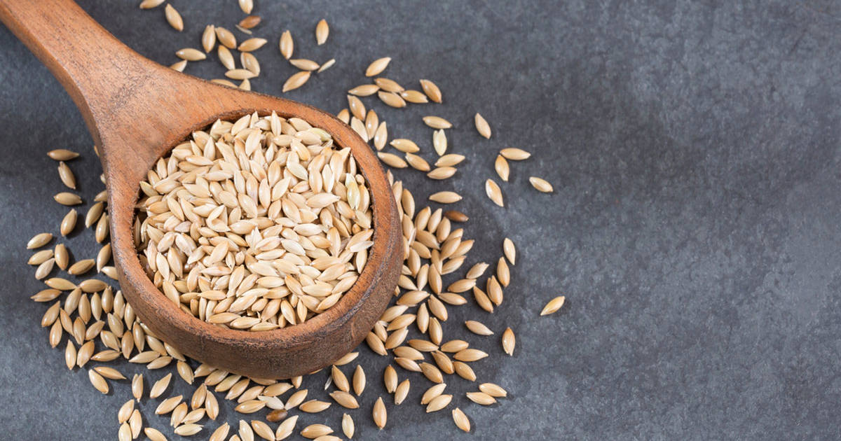 Alpiste: las propiedades de unas semillas con las que puedes elaborar tu propia leche vegetal