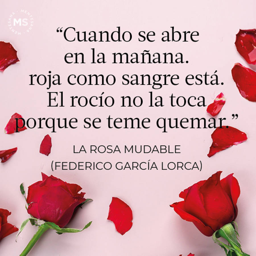 La rosa mudable (Poema de Federico García Lorca)