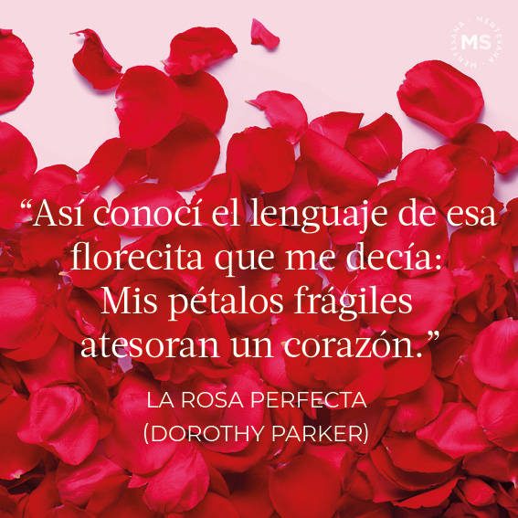 La rosa perfecta (Poema de Dorothy Parker)