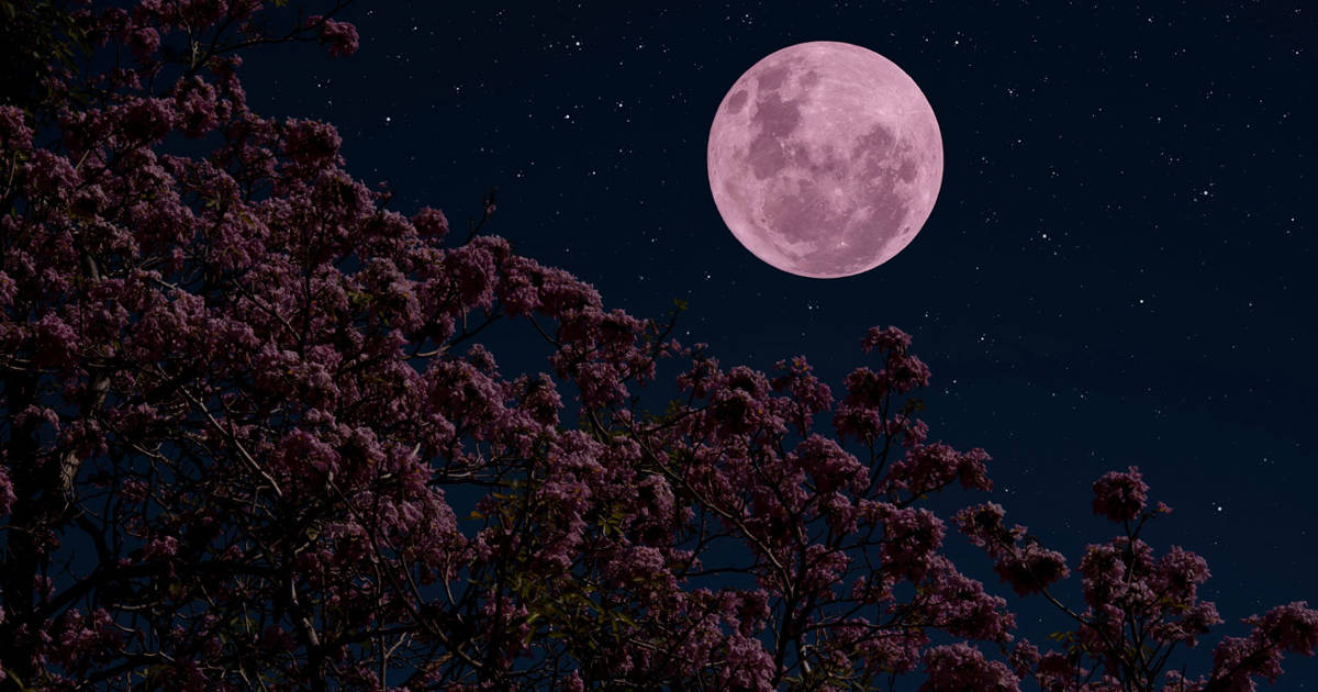 Llega la Luna llena de abril de 2024, la Luna rosa de la primavera