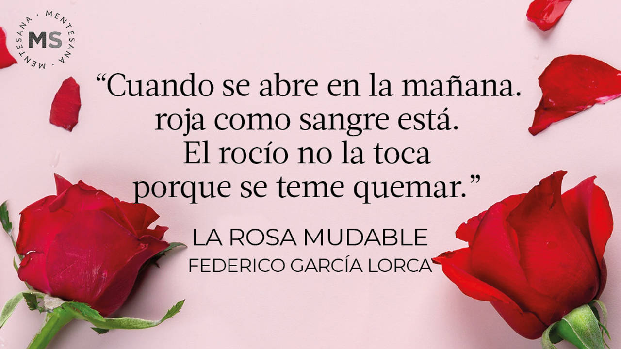 12 poemas bonitos sobre rosas para regalar en Sant Jordi 