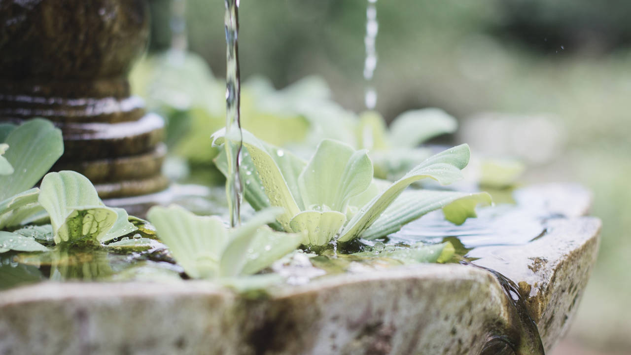 Feng Shui en el jardin