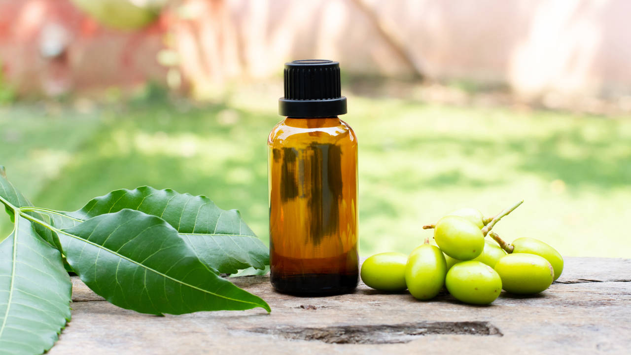 Cómo utilizar el aceite de neem para las plantas