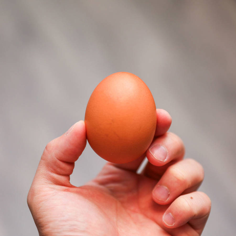 Cómo saber si un huevo está malo: los trucos para detectarlo antes de que sea demasiado tarde