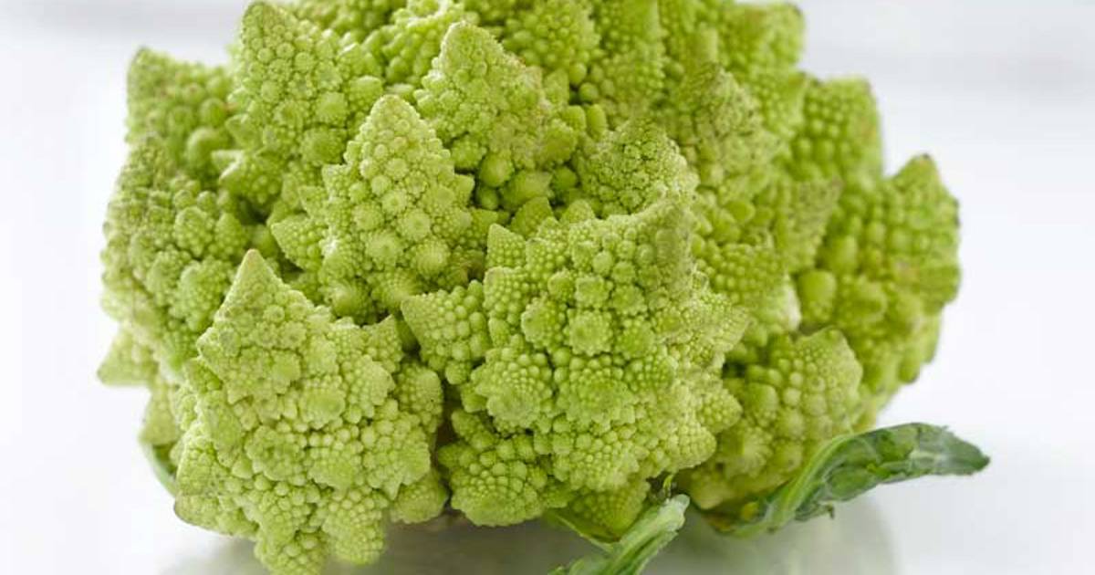 Colac Rumeno Col romanesco: todas sus propiedades y beneficios para la salud