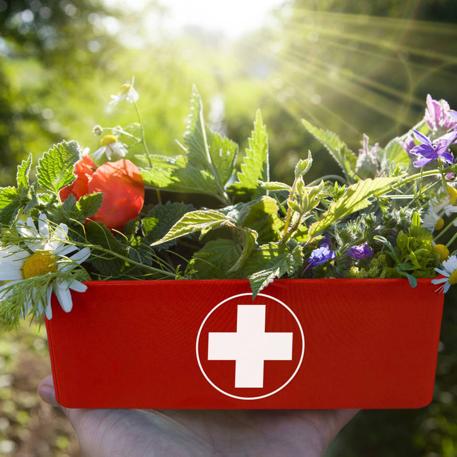 7 remedios caseros de urgencia para tu botiquín de primeros auxilios
