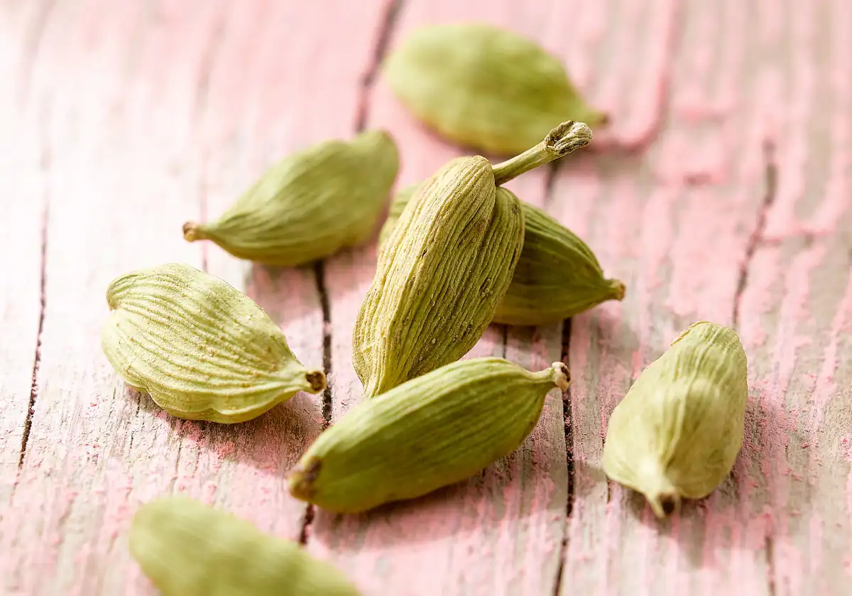 Cardamomo