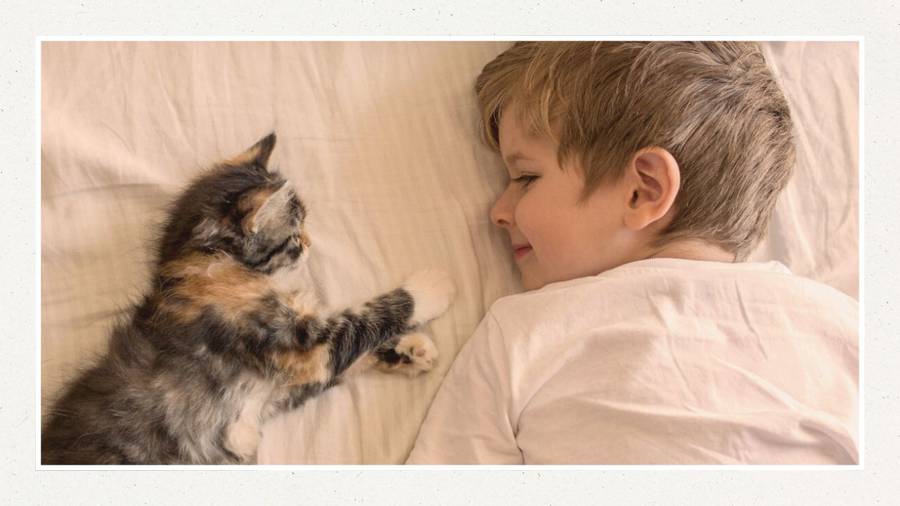 Cuento infantil: La gatita que atrapaba las pesadillas (Encarni Arcoya)