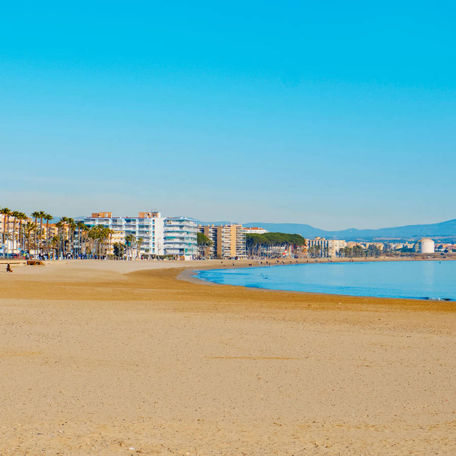 Por qué se llevan bandera negra 48 playas españolas en 2024