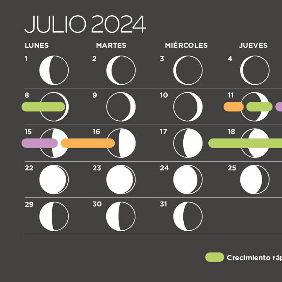 Calendario lunar de julio 2024 (fases de la luna, corte de pelo y siembra)