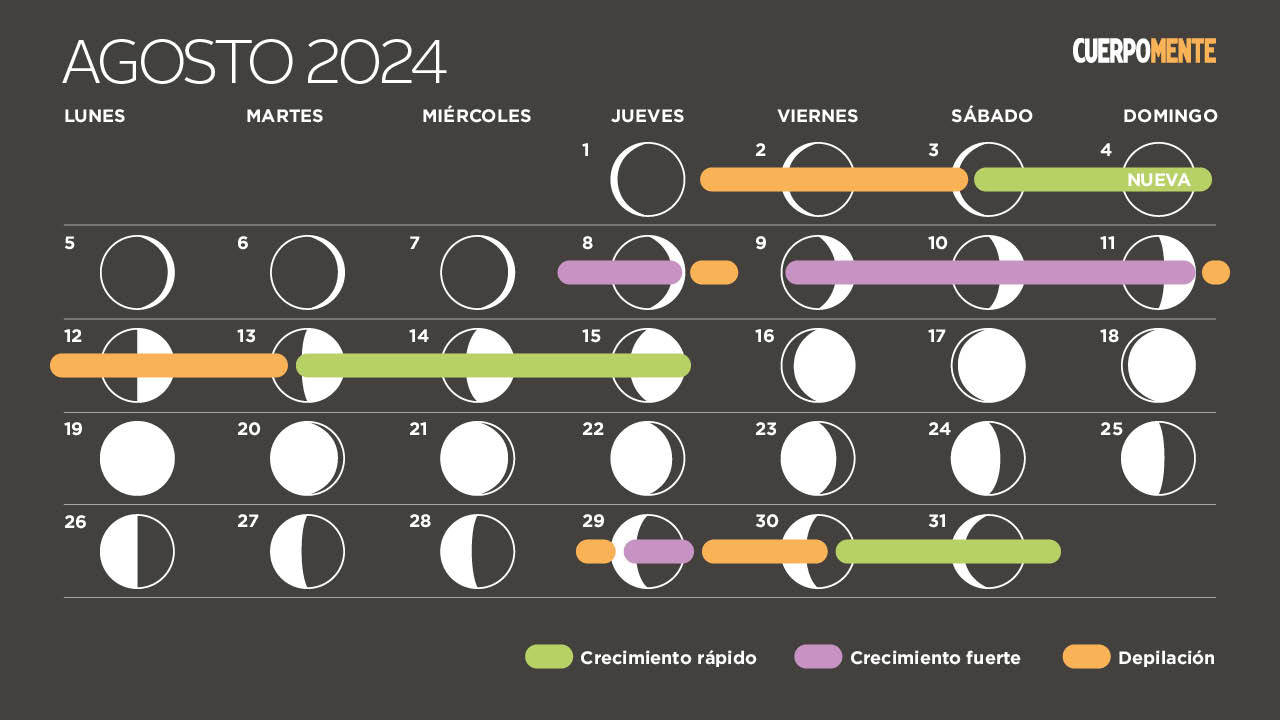 Fases da Lua em Agosto 2024