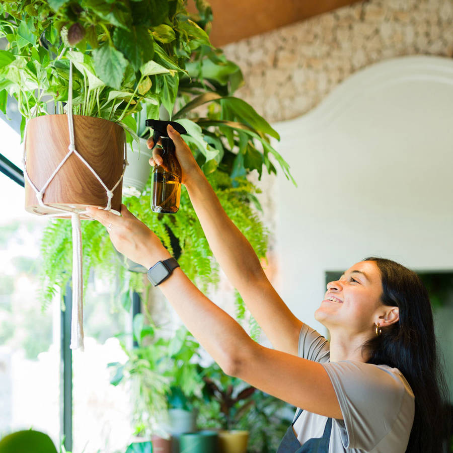 Maceteros colgantes caseros: 6 ideas fáciles y bonitas para poner más verde en casa