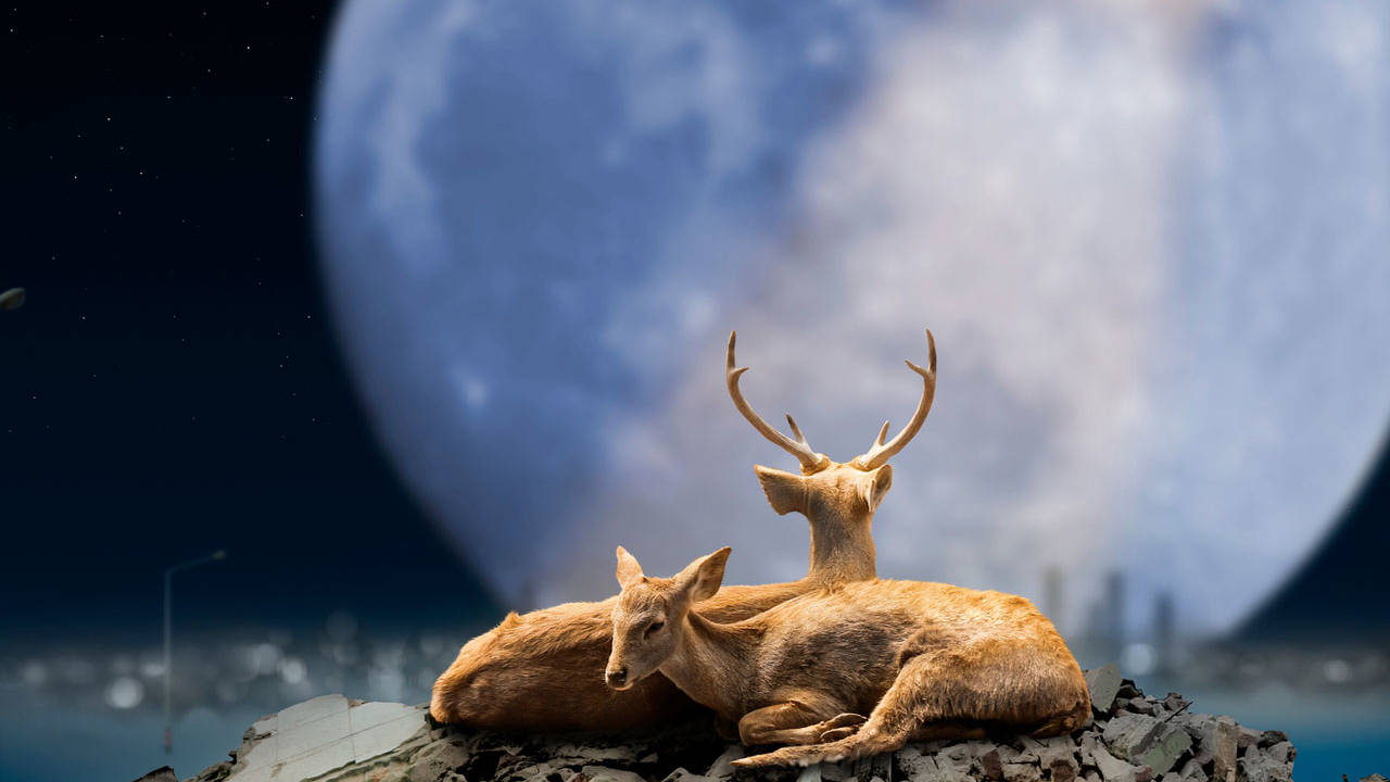 luna llena julio ciervo