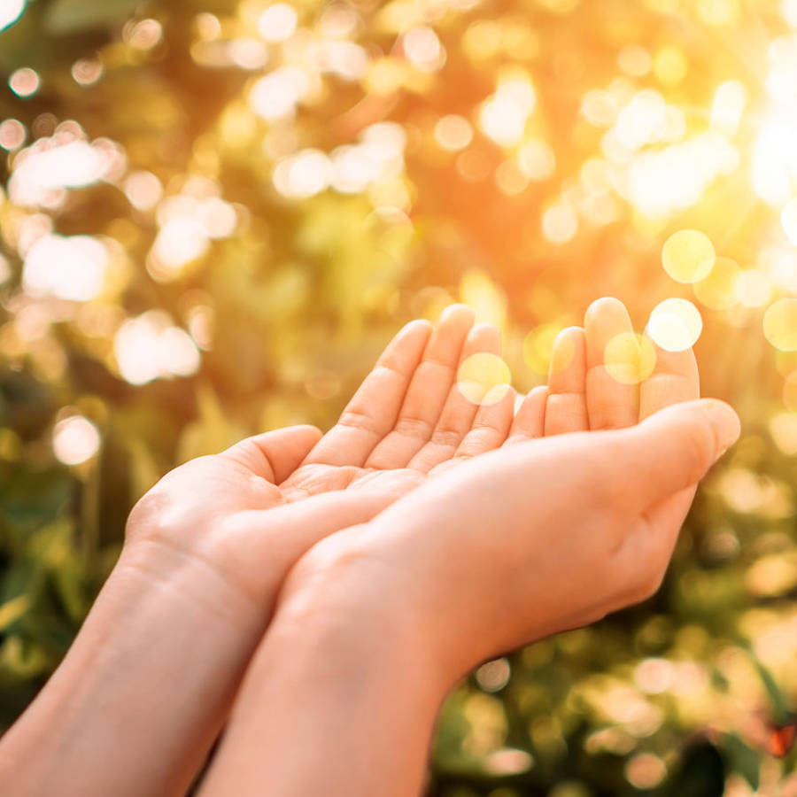 Sin meditación no hay felicidad, pero el secreto no es sentarse a meditar: está en estas actitudes diarias