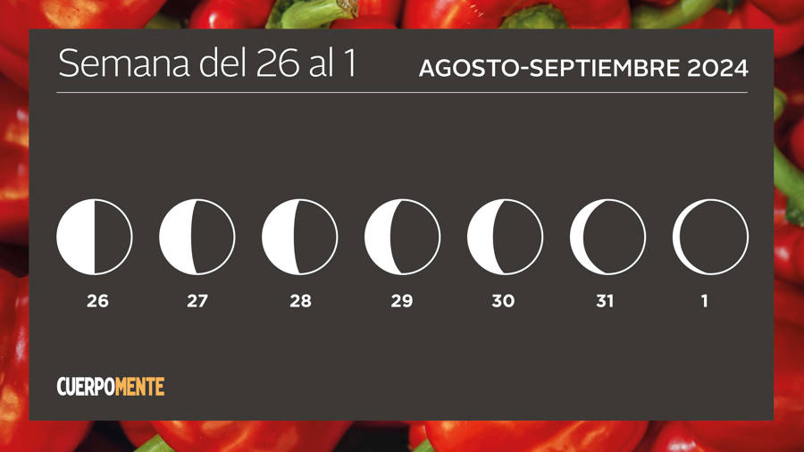 Luna hoy calendario lunar del 26 de agosto al 1 de septiembre 2024