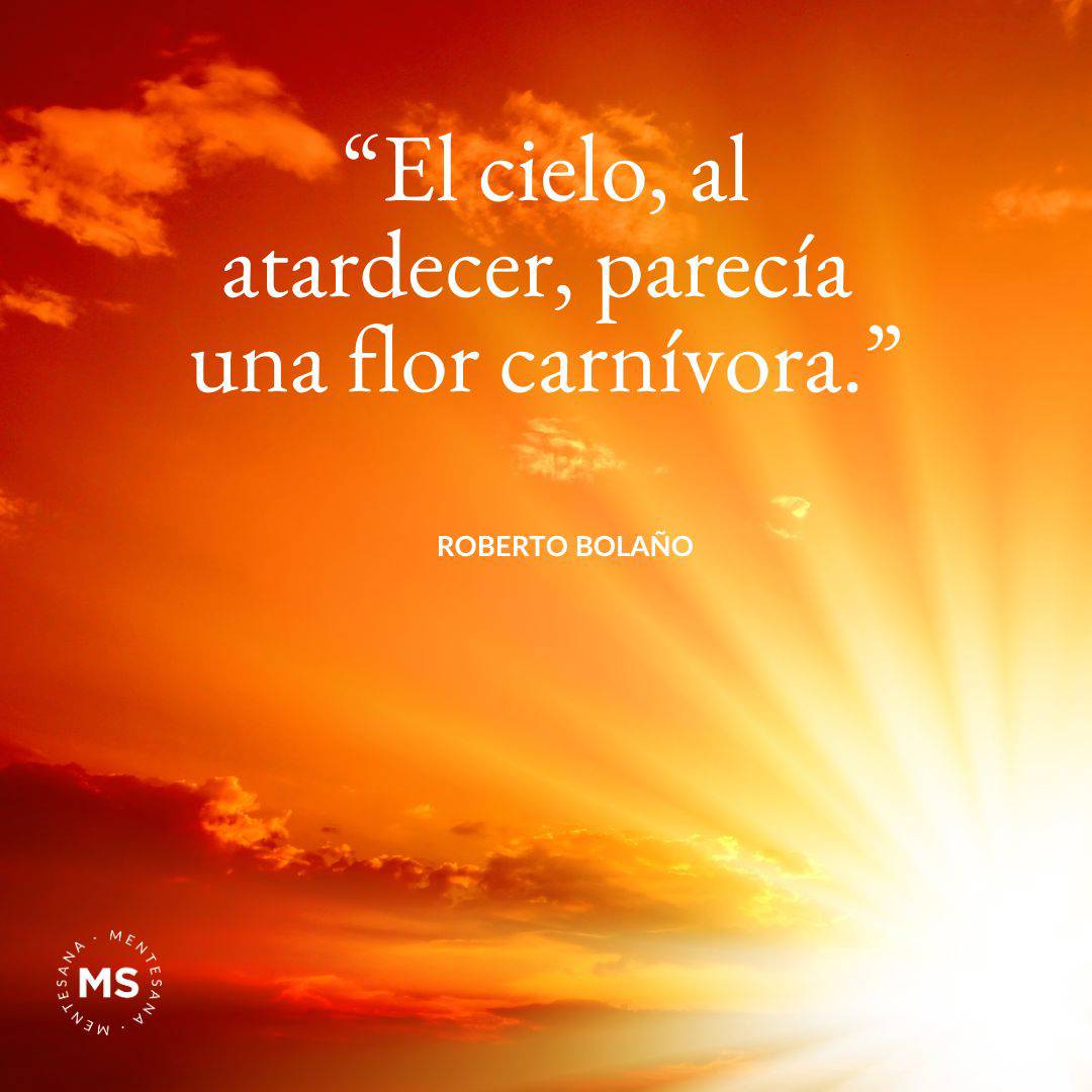 622. “El cielo, al atardecer, parecía una flor carnívora.” Roberto Bolaño