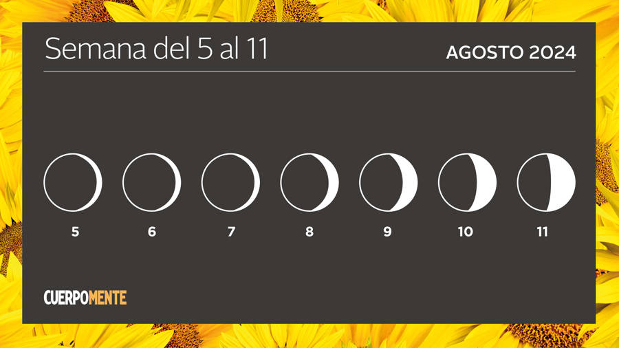 Luna hoy semana del 5 al 11 de agosto