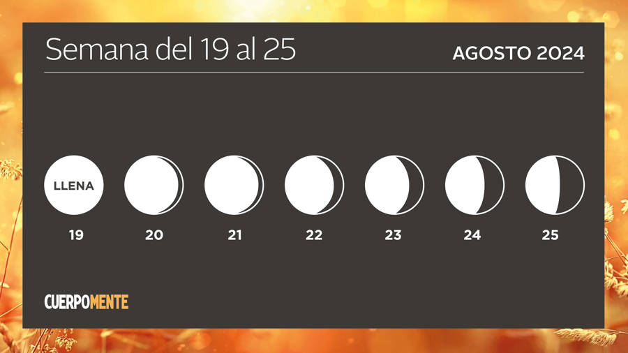 Luna hoy calendario lunar del 19 al 25 de agosto 2024