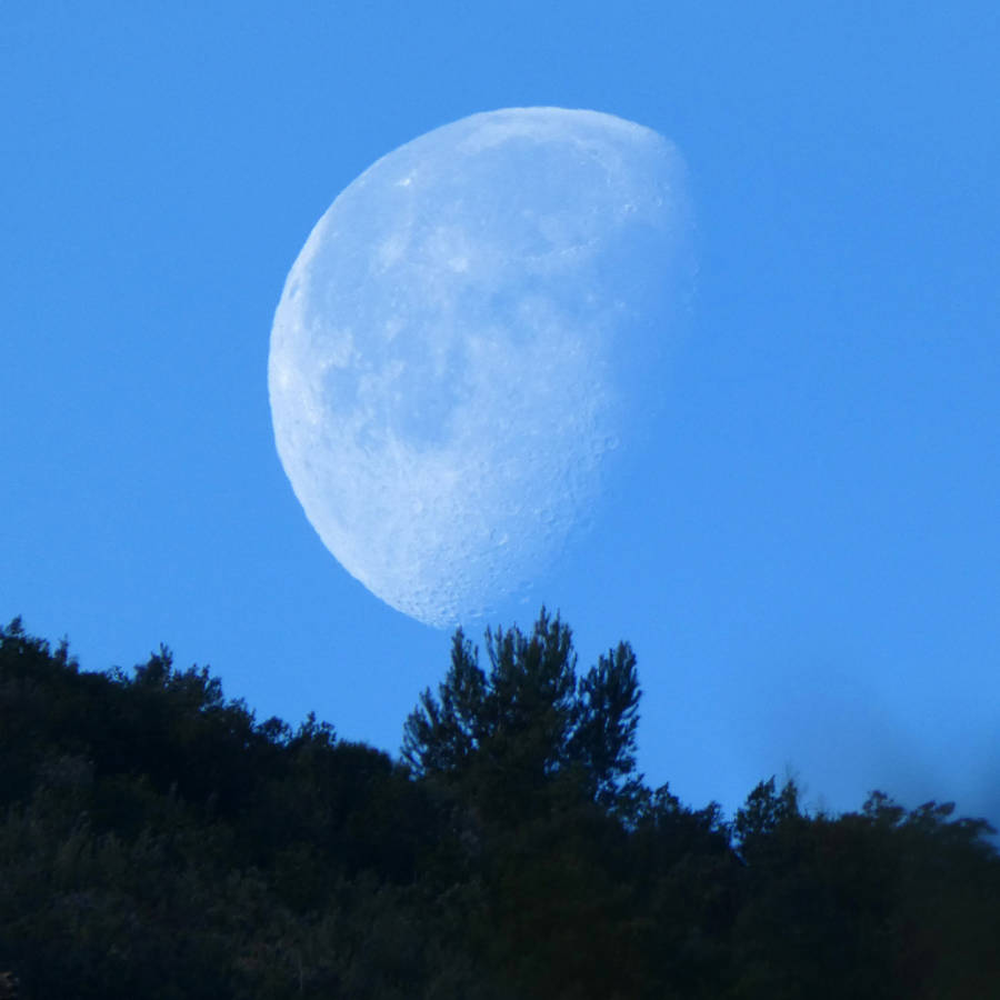 luna menguante