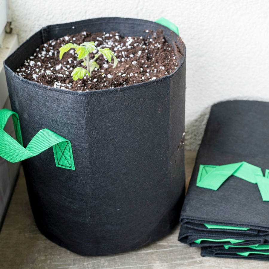 Huerto en bolsas: la nueva tendencia para tus plantas crezcan bien en espacios pequeños