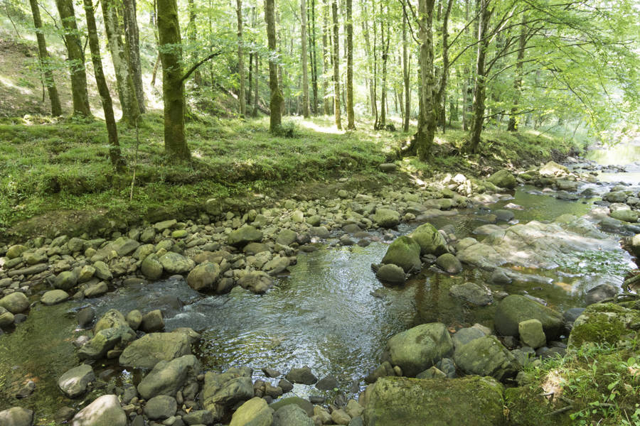 Paruqe Natural Saja-Besaya Cantabria