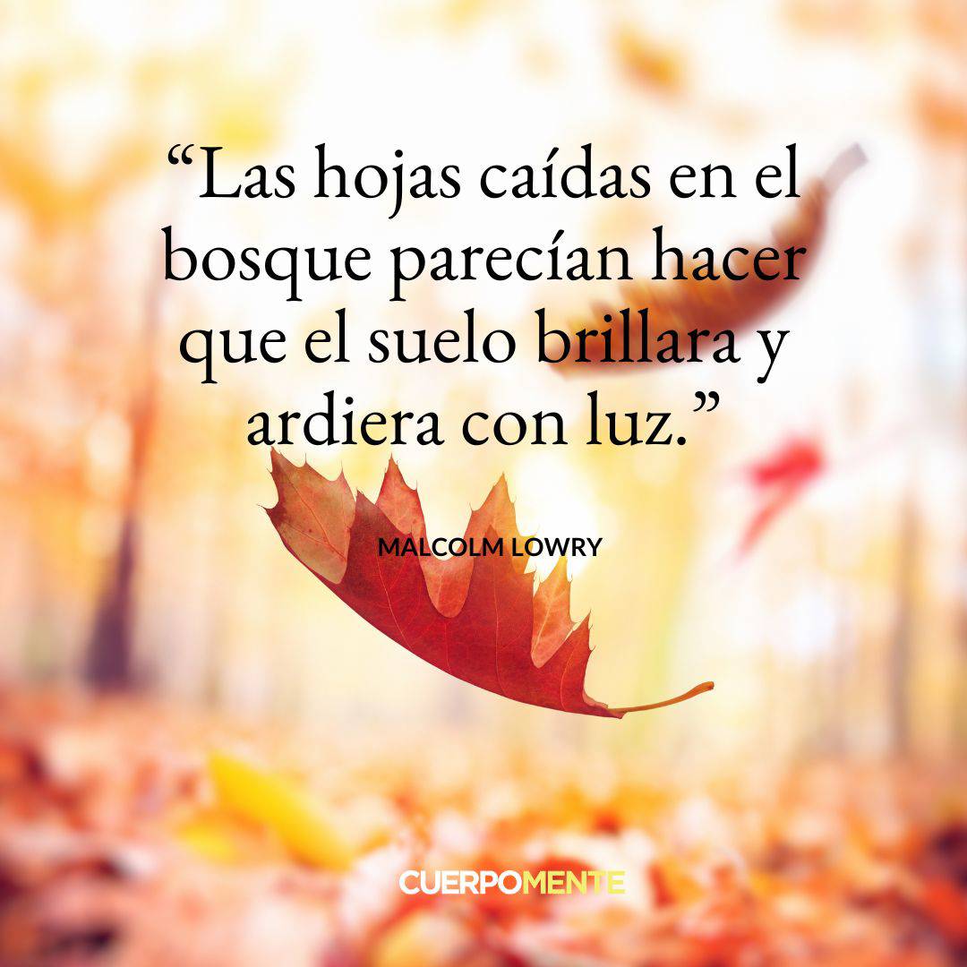 Frases motivadoras otoño