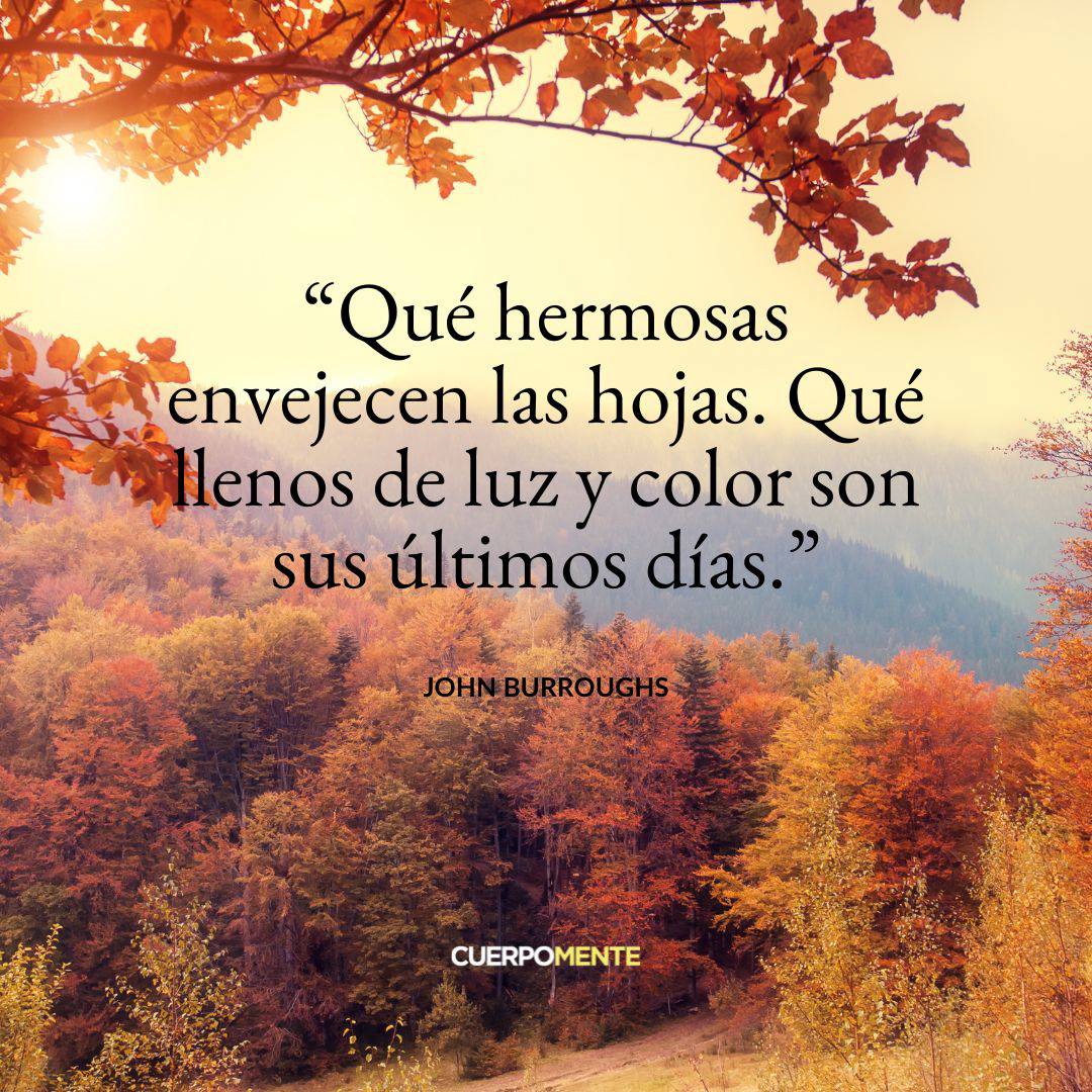 Frases motivadoras otoño