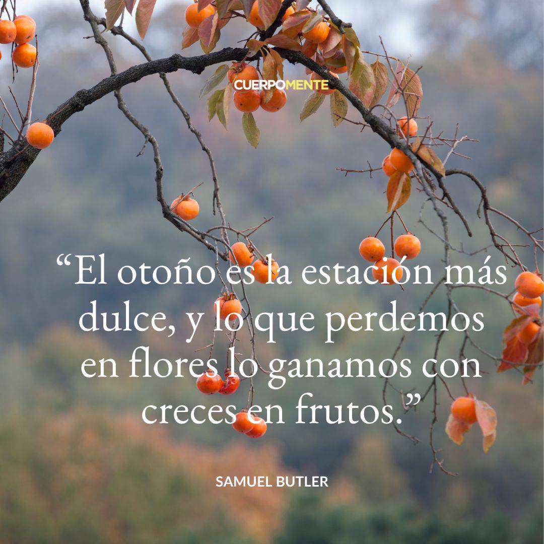 Frases motivadoras otoño